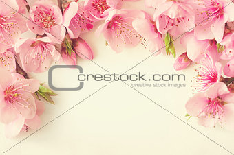 Frame of pink flowers, branches, leaves and lilac petals on white background. Flat lay, top view