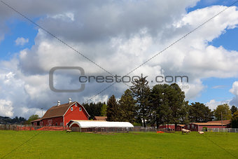 Red Barn on Green Pasture in Oregon