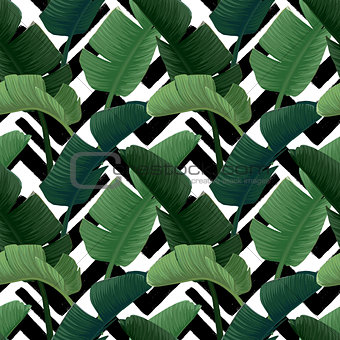 Hand drawn vector seamless pattern with green banana palm leaves on the zig zag striped geometric black and white background. Summer tropical print.