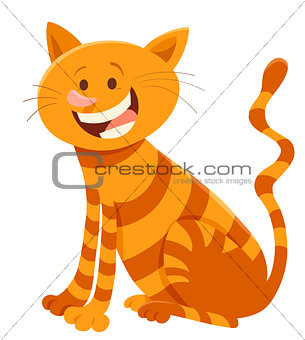 cute cat cartoon animal character