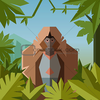 Flat geometric jungle background with Gelada