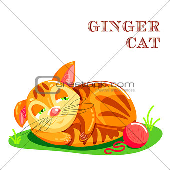 Educational flashcard with cat on the grass
