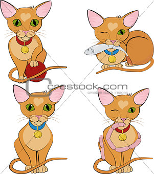 Set of cute ginger cats. Cartoon character.