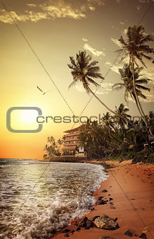 Coast in Sri Lanka
