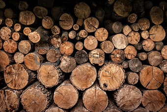 Firewoods close up