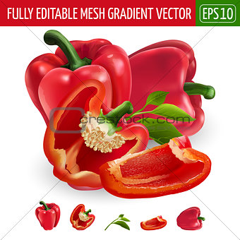 Red pepper on white background. Vector illustration