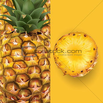 Pineapple. Vector illustration