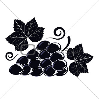 Vector illustration symbol of a Vine with black grapes and leave