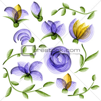 Watercolor vector floral elements