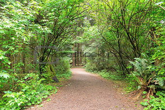 Hiking Trail along Lewis and Clark River