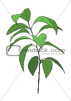 Hand drawn green tangerine tree. Vector illustration