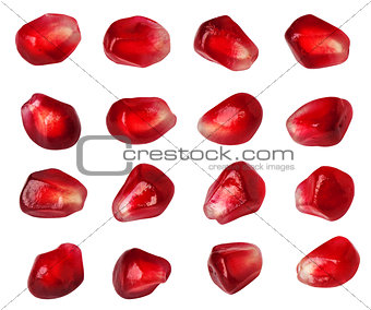 Pomegranate seed collection isolated