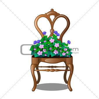 Vintage wooden chair with flowers. Vector illustration.