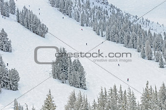 Skiers and Snowboarders on ski resort slopes
