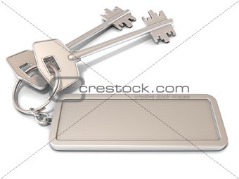 Two door keys and rectangular blank label on ring. 3D