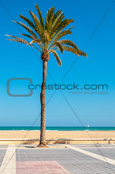 Malvarrosa beach, Valencia, Spain