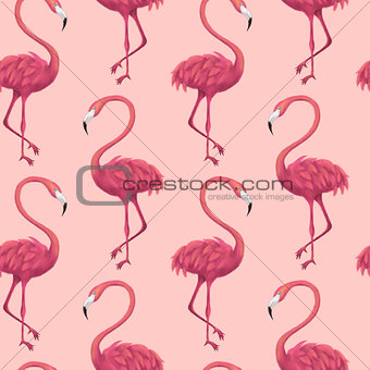 Flamingos Pink Seamless Pattern
