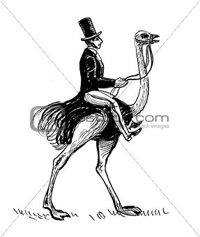 Gentleman and ostrich
