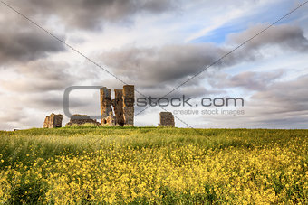 Church ruin landscape in yellow crops