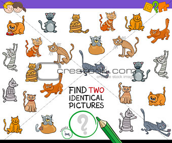 find two identical cat pictures game for kids