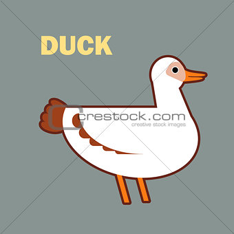 Domestic bird duck simple
