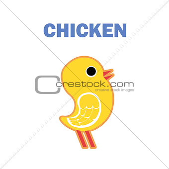Domestic bird chicken isolated