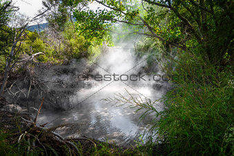 Rotorua hot springs, New Zealand