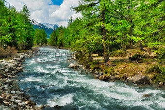 river among the trees in Aosta Valley
