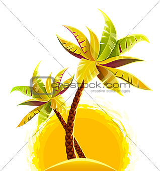 Coconut palm trees on sand island