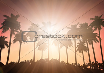 Palm tree landscape against a sunset sky