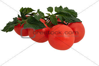 Tomatoes branch with leaf, isolated on white background.Top wiew.