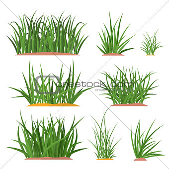 bunch green grass set