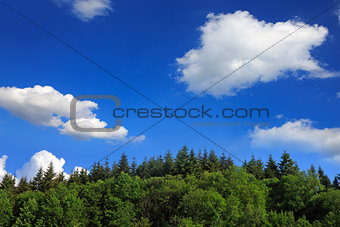 Landscape in the mountains in summer.