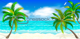Tropical beach, palm trees