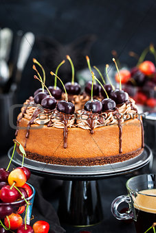 Delicious homemade chocolate cheesecake decorated with fresh che