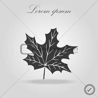 icon black silhoutte maple leaf. black line art maple leaf isolated background. canada. maple leaf vector icon