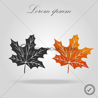 Two Maple Leaves. Autumn maple leaf isolated on a white background. Vector Illustration