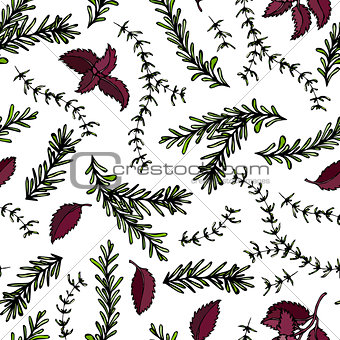 Seamless Endless Pattern of Rosemary Branch, Red Basil and Sage. Background with Aromatic Healing Herb. Steak Meat Spice. Hand Drawn Illustration. Savoyar Doodle Style.