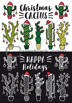 Christmas cactus, vector set
