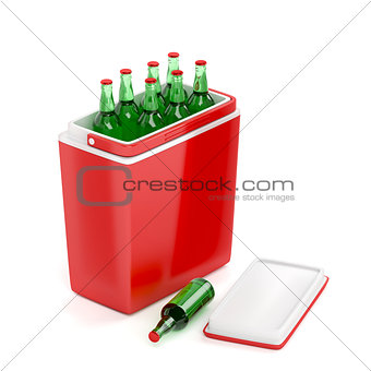 Cooling box with beer bottles